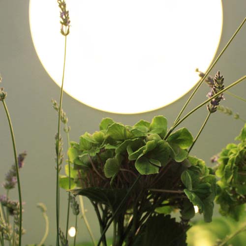  Friseur Capillius Schnitt Raumkonzept Paderborn helle freude Paderborn